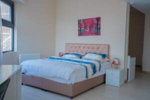 İstanbul'da öğrencilere yönelik lüks konut